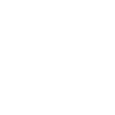 Icône pour le Haut Fait STALKER